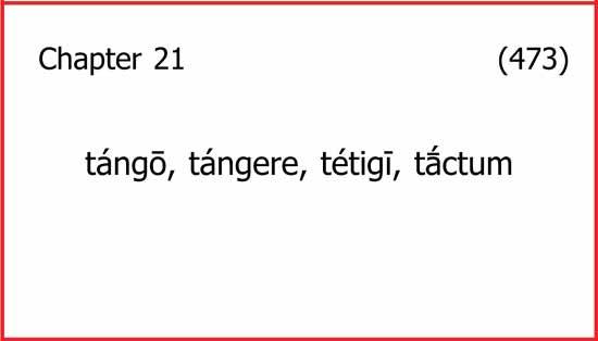 Front of a vocabulary flashcard with "chapter 21; tango, tangere, tetigi, tactum" and the card number, 473.